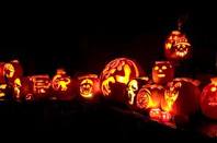 Pumpkin Pumpkin